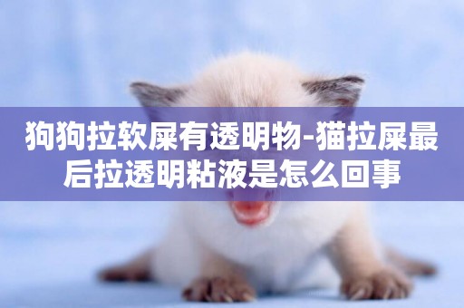 狗狗拉軟屎有透明物-貓拉屎最后拉透明粘液是怎么回事
