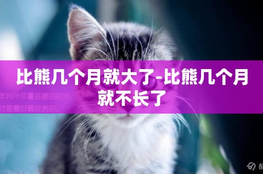 比熊幾個月就大了-比熊幾個月就不長了
