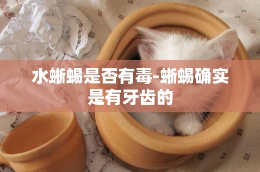 水蜥蜴是否有毒-蜥蜴確實是有牙齒的