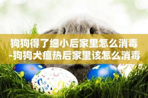 狗狗得了細小后家里怎么消毒-狗狗犬瘟熱后家里該怎么消毒