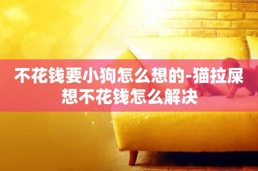 不花錢要小狗怎么想的-貓拉屎想不花錢怎么解決