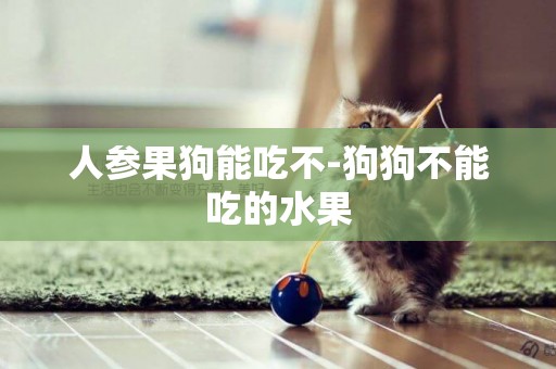 人參果狗能吃不-狗狗不能吃的水果