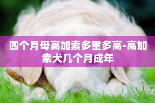 四個月母高加索多重多高-高加索犬幾個月成年