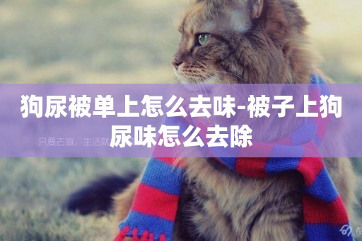 狗尿被單上怎么去味-被子上狗尿味怎么去除
