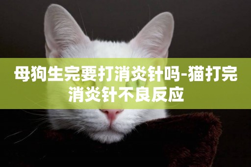 母狗生完要打消炎針嗎-貓打完消炎針不良反應