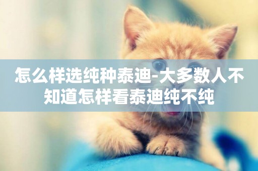 怎么樣選純種泰迪-大多數人不知道怎樣看泰迪純不純