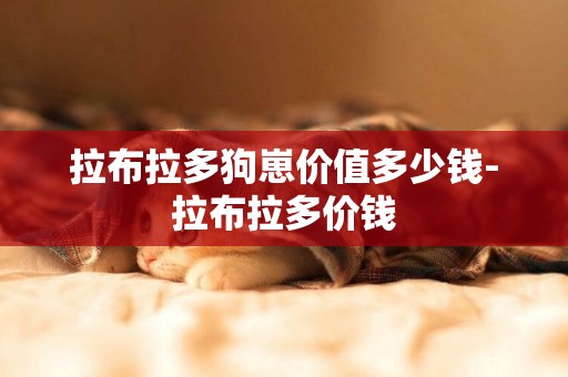 拉布拉多狗崽價值多少錢-拉布拉多價錢