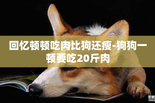 回憶頓頓吃肉比狗還瘦-狗狗一頓要吃20斤肉