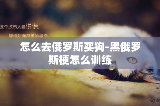 怎么去俄羅斯買狗-黑俄羅斯梗怎么訓練