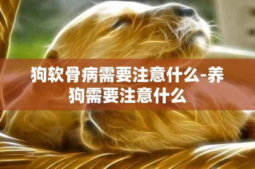 狗軟骨病需要注意什么-養狗需要注意什么