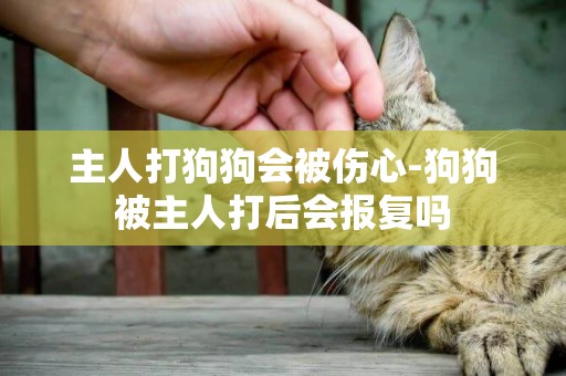 主人打狗狗會被傷心-狗狗被主人打后會報復嗎