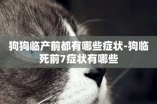 狗狗臨產前都有哪些癥狀-狗臨死前7癥狀有哪些