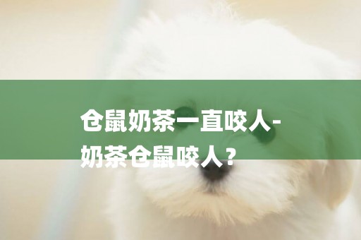 倉鼠奶茶一直咬人-
奶茶倉鼠咬人？