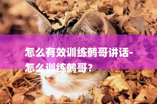 怎么有效訓練鷯哥講話-
怎么訓練鷯哥？