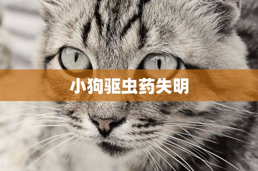 小狗驅蟲藥失明