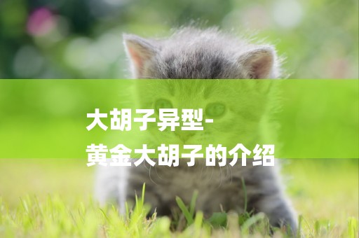 大胡子異型-
黃金大胡子的介紹