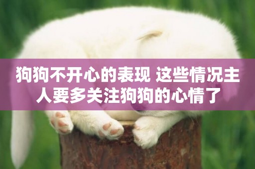 狗狗不開心的表現 這些情況主人要多關注狗狗的心情了