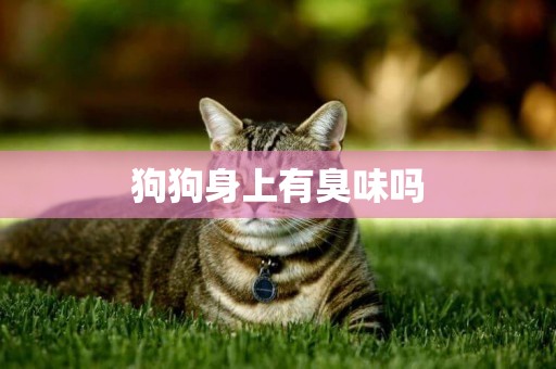 狗狗身上有臭味嗎