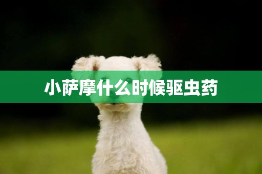 小薩摩什么時候驅蟲藥