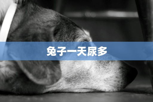 兔子一天尿多