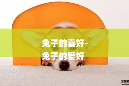 兔子的喜好-
兔子的愛好