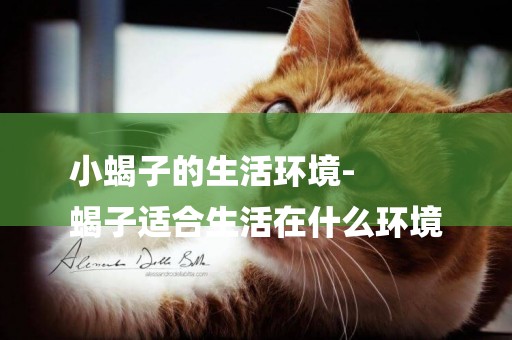 小蝎子的生活環境-
蝎子適合生活在什么環境