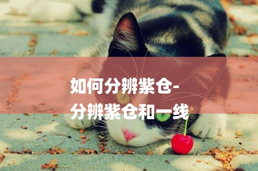如何分辨紫倉-
分辨紫倉和一線