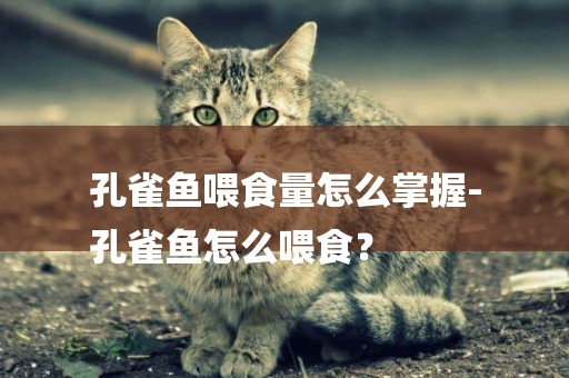 孔雀魚喂食量怎么掌握-
孔雀魚怎么喂食？