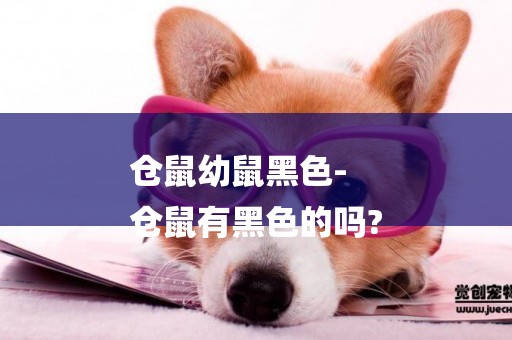 倉鼠幼鼠黑色-
倉鼠有黑色的嗎?
