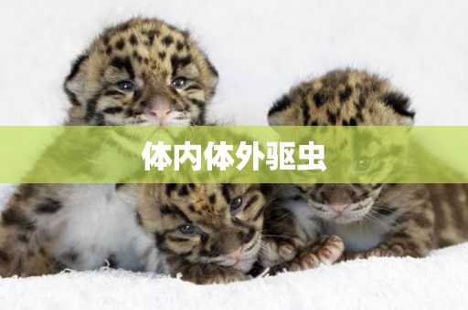 體內體外驅蟲