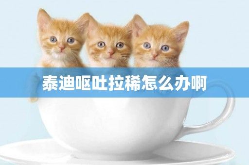泰迪嘔吐拉稀怎么辦啊