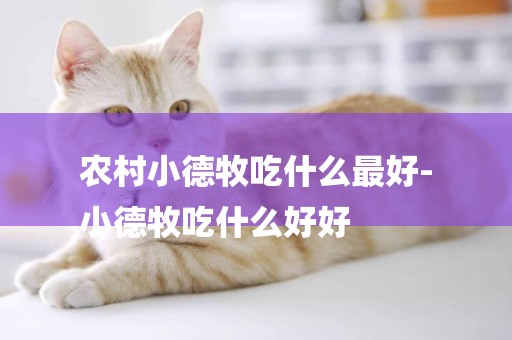 農村小德牧吃什么最好-
小德牧吃什么好好