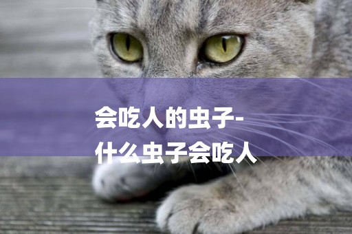 會吃人的蟲子-
什么蟲子會吃人