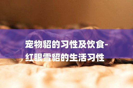 寵物貂的習性及飲食-
紅眼雪貂的生活習性