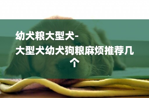 幼犬糧大型犬-
大型犬幼犬狗糧麻煩推薦幾個