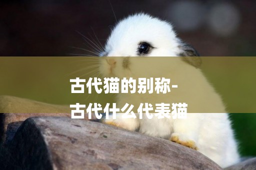 古代貓的別稱-
古代什么代表貓