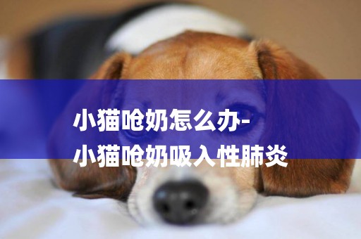 小貓嗆奶怎么辦-
小貓嗆奶吸入性肺炎