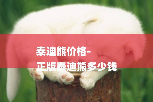 泰迪熊價格-
正版泰迪熊多少錢