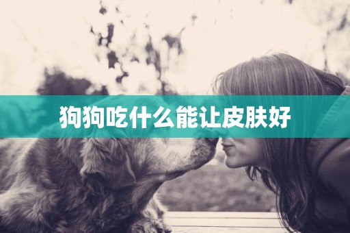 狗狗吃什么能讓皮膚好