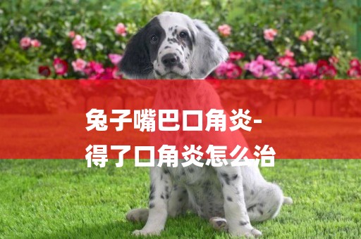 兔子嘴巴口角炎-
得了口角炎怎么治
