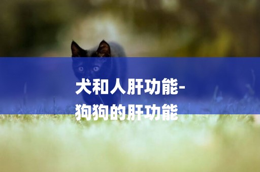 犬和人肝功能-
狗狗的肝功能