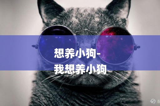 想養小狗-
我想養小狗