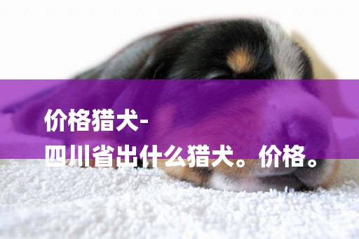 價格獵犬-
四川省出什么獵犬。價格。