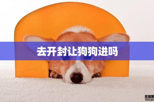 去開封讓狗狗進嗎