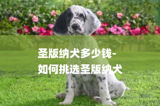 圣版納犬多少錢-
如何挑選圣版納犬