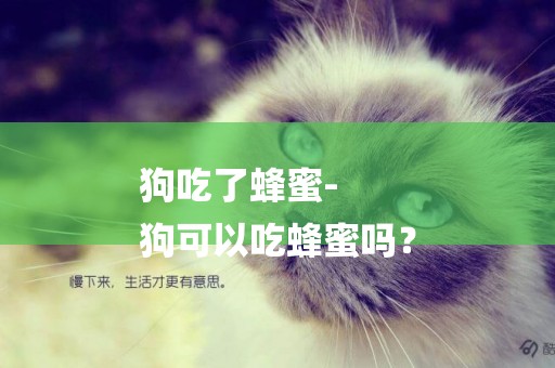 狗吃了蜂蜜-
狗可以吃蜂蜜嗎？