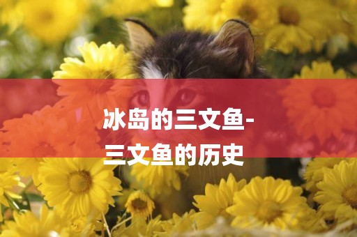 冰島的三文魚-
三文魚的歷史