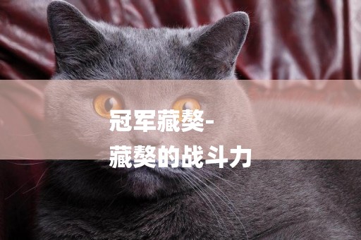 冠軍藏獒-
藏獒的戰斗力