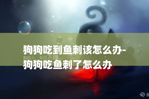 狗狗吃到魚刺該怎么辦-
狗狗吃魚刺了怎么辦
