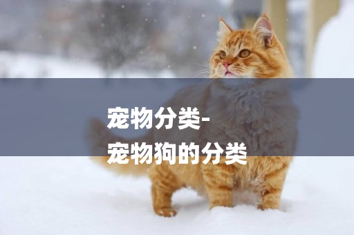寵物分類-
寵物狗的分類